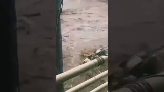 Devastating flooding in Acapulco Guerrero in Mexico due to Hurricane John  26092024 [upl. by Hut]