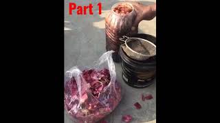 Pyaz ke chilke ka pani part1sort plants shortsvideo craft shorts youtubeshort [upl. by Manson]