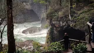 Cape Flattery WA [upl. by Nevek619]