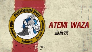 Atemi Waza Selfdefense Explained  Fudoshinryu Aiki Jujutsu [upl. by Norval]