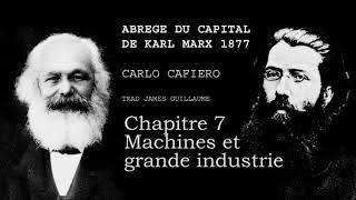 Carlo Cafiero  Abrégé du capital de Karl Marx  Machines et grande industrie7 [upl. by Rooker]