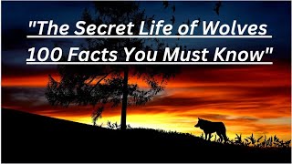 Wolves 100 Unbelievable Wolf Facts [upl. by Cazzie]