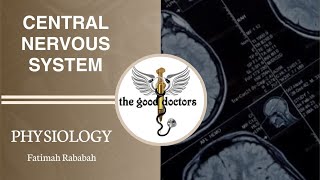 Lecture 6  Limbic System  Physiology CNS [upl. by Enayr]