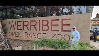 WERRIBEE OPEN RANGE ZOO [upl. by Etteiram]