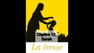 12  La tresse  Chapitre 12  livre audio  Laetitia Colombani [upl. by Arimaj]