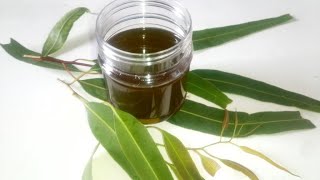 How to Make Eucalyptus oil for Hair Skin amp Cold [upl. by Rodger]