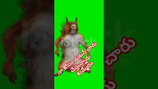 ఆహా matan charu బాలే వాసన vastundhi రాfunny ratfeeling trendingvoice [upl. by Tavis]