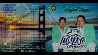 LOBO MIXTECO  EL RESICADO  ESTRENO 2017 CD VOL 3 [upl. by Fanchet207]