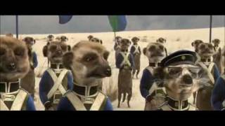 Compare the Meerkat  Advert 8 [upl. by Alahs]