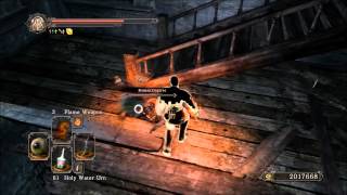 Dark Souls 2 Weapon Showcase The Spider Fang [upl. by Senn268]