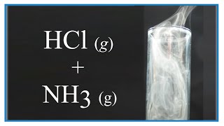 Reaction of NH3 g  HCl g Can two gases make a solid 🌪 [upl. by Adley839]