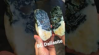 BC Dallasite [upl. by Akeimat]