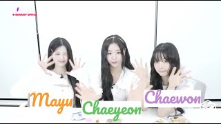 ENG SUB tripleS Weibo SIGNAL LIVE 240905 Chaeyeon Mayu Chaewon 트리플에스 Image Quiz Game [upl. by Lombardi802]