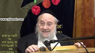 Rabbi Mendel Kessin Current Events Update What is happening in the World [upl. by Livingston80]