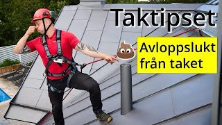 Taktipset  Avloppslukt från taket [upl. by Rednael194]