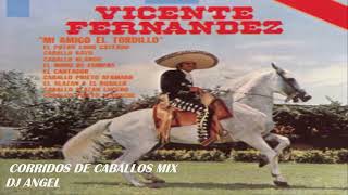 VICENTE FERNANDEZ CORRIDOS DE CABALLOS MIX vicentefernandezexitos [upl. by Ala288]