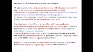 Dormancy of Mycobacterium tuberculosis inside macrophage [upl. by Scheld]