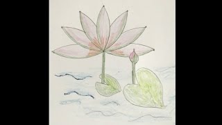 WATERLILY Simple drawing [upl. by Lenno]