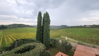 WINE tasting tour Chianti Tuscany ITALY [upl. by Alodee674]