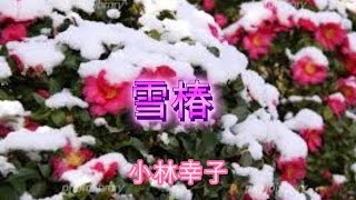 雪椿 小林幸子 cover たっちゃん [upl. by Gypsie]