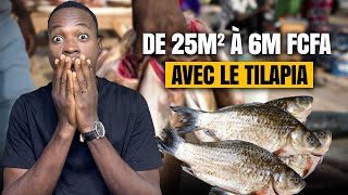 Plus de 2000 poissons adultes avec seulement 25 m² [upl. by Whale]