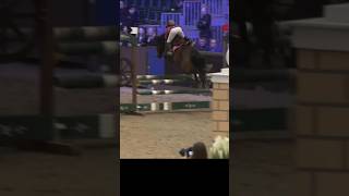 OMG THIS HAPPENED AT BLUE CHIP FINALS horseriding equestrian horse pony showjumping horselover [upl. by Nadnerb]