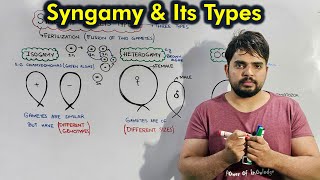 Syngamy and Its types Isogamy Heterogamy amp Oogamy Fertilization vs Syngamy [upl. by Kakalina]