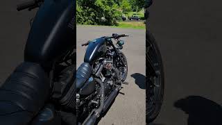 Legendary Harley Davidson Sportster Iron 883 Rev [upl. by Bekah]