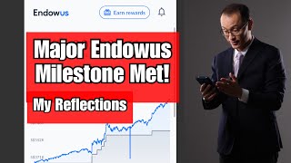 Revealing My Endowus Portfolio  My Reflections [upl. by Eninahs]