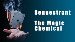 What Is A Swimming Pool Sequestrant  The MAGIC chemical [upl. by Fabien]