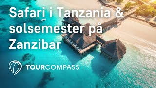 Safari i Tanzania amp solsemester på Zanzibar [upl. by Neellok]