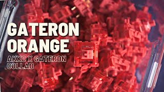 Gateron Orange Lubed  Akko x Gateron Collab Switch  Overview and Sound Test [upl. by Jacobah]