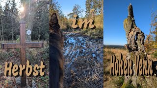 Herbst im Hohen Venn [upl. by Esther]