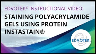 Staining Polyacrylamide Gels using Protein Instastain [upl. by Niu]