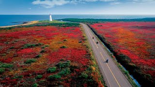 Miscou Island Shippagan NB Camping Fishing with Friend and Family [upl. by Rotceh]