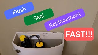 Replace a Kohler Toilet Flush Valve Seal in 2 Minutes [upl. by Edaj]