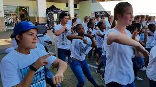 Ermelo Youth quotSpeak Lifequot Flashmob [upl. by Stevena]