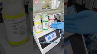 Western Blot Automatic amp Continuous Gel Preparation T20 [upl. by Nrehtac]