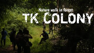 കാട്ടിലൂടെ ഒരു ദിവസം l TK colony l Karimpuzha wild life l Nilambur l Karimbuzha forest l forest [upl. by Wilson]