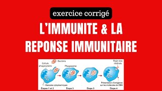 exercice résolu sur limmunité et la réponse immunitaire [upl. by Gavrila962]