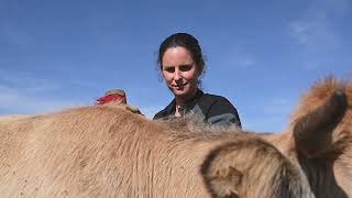 Présentation EthoDiversité  Agricultrice amp Comportementaliste animalier [upl. by Nivlen]