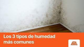 Conoce los 3 tipos de humedad más comunes [upl. by Nylanej]