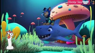 SharkyTune Wonders Baby Sharks Ocean Quest [upl. by Kylynn]