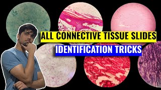 All Connective Tissue Identification Tricks  Anatomy Histology  1st Year MBBS IOM TU [upl. by Icyac568]