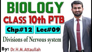 Divisions of nervous system  Brain  Chapter  12  Biology Class 10th  Lec 09 [upl. by Eedebez]