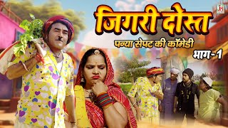 पन्या सेपट की धमाकेदार कॉमेडी 2024  जिगरी दोस्त  Latest Panya Sepat Comedy  Jigri Dost Comedy [upl. by Hcnarb]