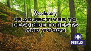 English Talks 15 Adjectives to Describe Forests and Woods in English [upl. by Lipsey]