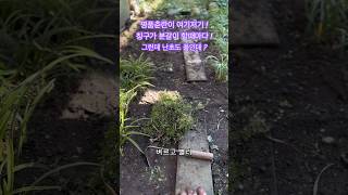 차별없는 세상에 살고싶다 😭잡초 왈 😭명품춘란 [upl. by Nanji]