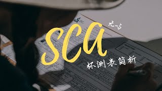 【无屿】SCA杯测表简析 [upl. by Zolner808]