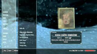 Fronczewski i Zborowski w Skyrim  dubbing PL [upl. by Mathe]